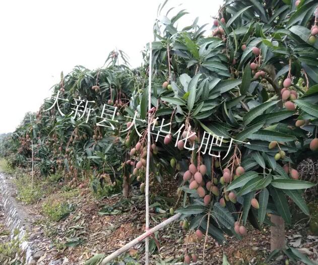 1501060123998852.jpg 芒果有(yǒu)機(jī)肥.jpg