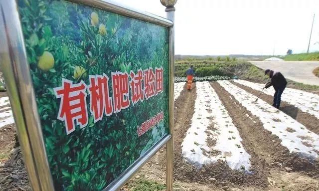 1557732241575227.jpg 廣西(xī)有(yǒu)機(jī)肥