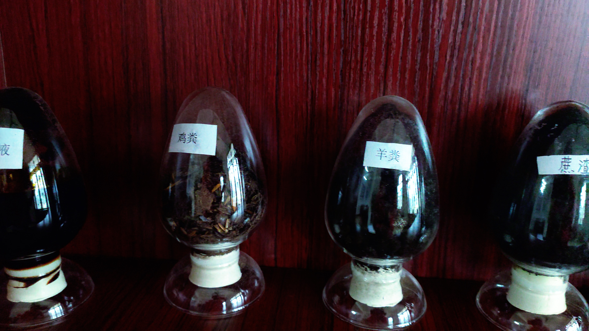 1611316305131903.jpg 廣西(xī)大(dà)華肥業(yè)