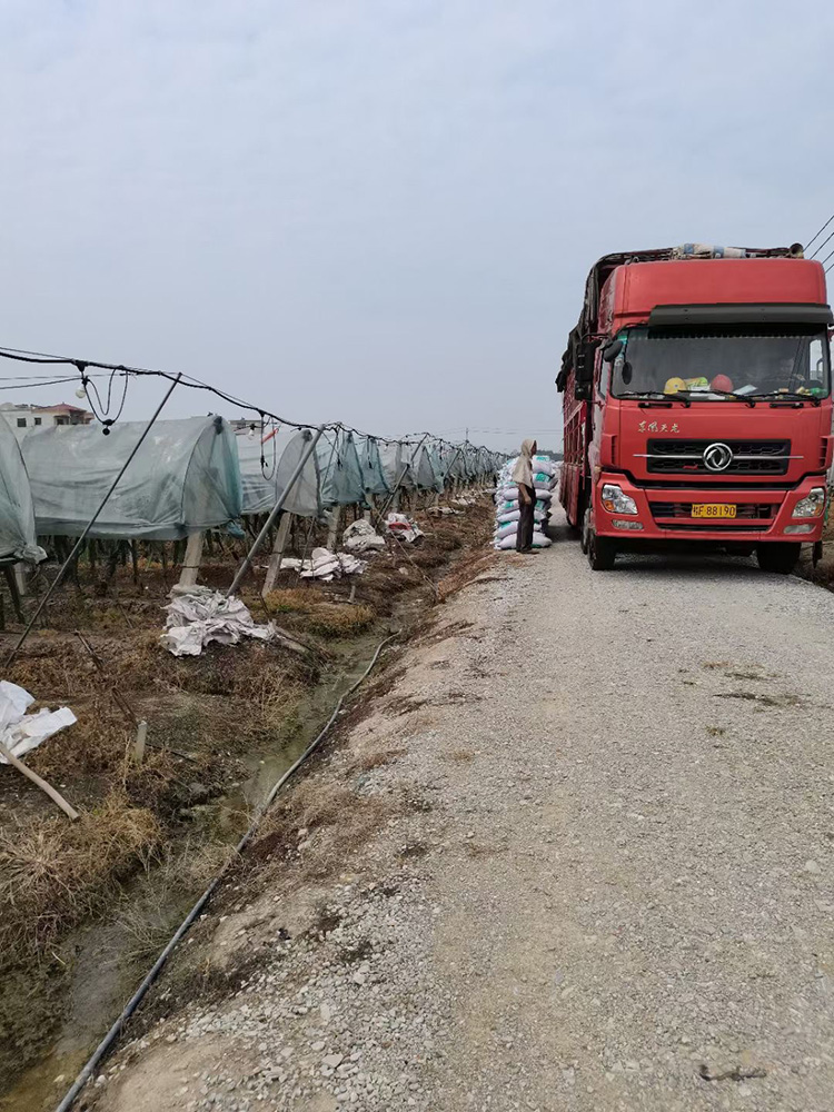 廣西(xī)大(dà)華肥業(yè)