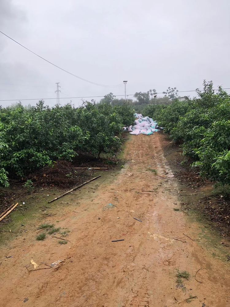 1618219254934812.jpg 基地(dì)