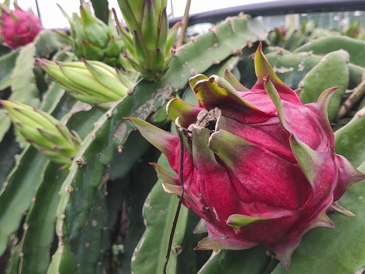 1619606128685570.jpg 季度會(huì)議(yì)