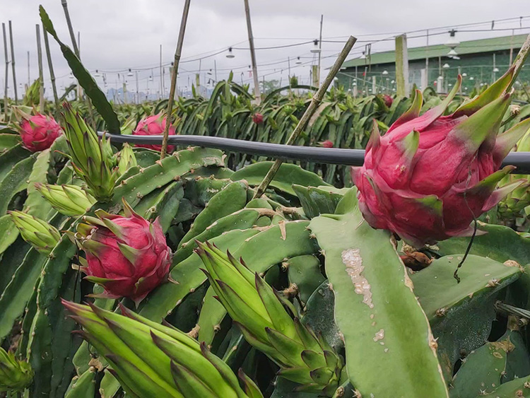 1619606135924624.jpg 季度會(huì)議(yì)