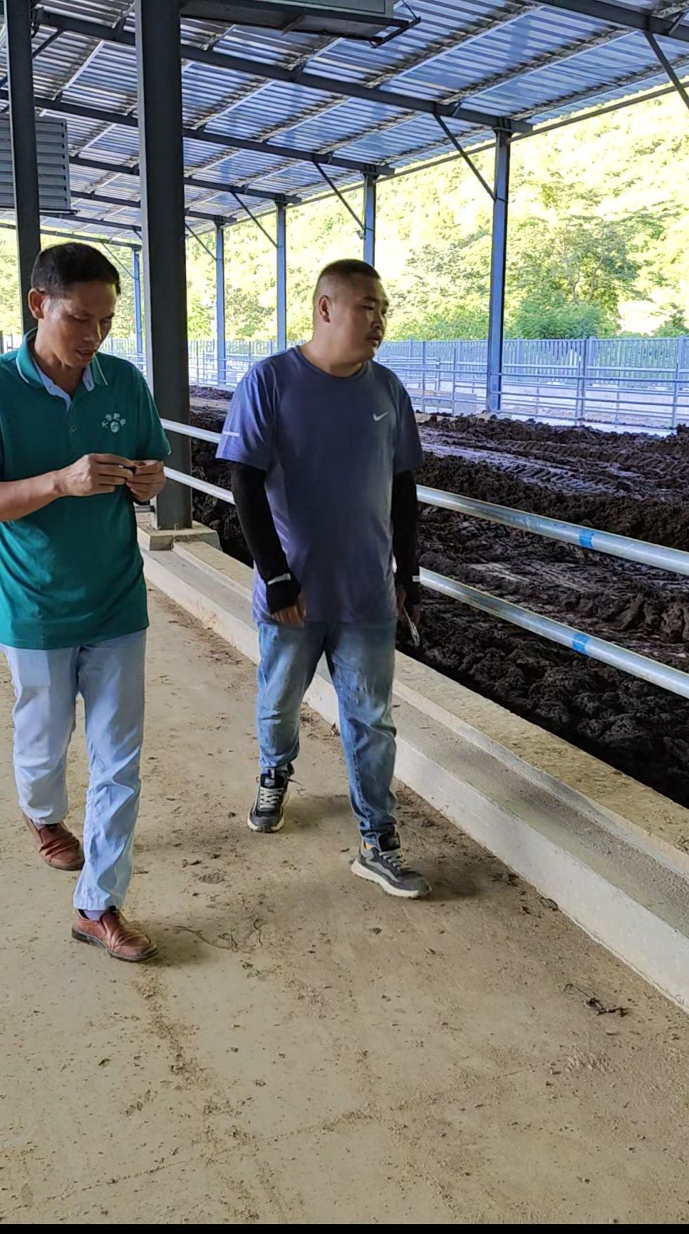 有(yǒu)機(jī)肥原料