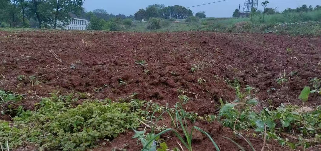 1730336637626374.jpg 有(yǒu)機(jī)肥定制(zhì)