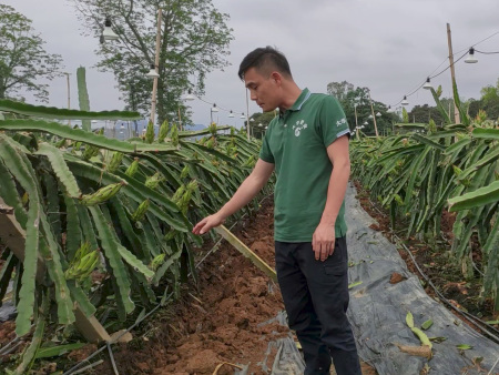 有(yǒu)機(jī)肥和(hé)無機(jī)肥有(yǒu)什(shén)麽區(qū)别？