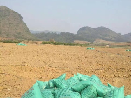 大(dà)青棗種植地(dì),用(yòng)有(yǒu)機(jī)肥做(zuò)基肥 大(dà)青棗種植地(dì),用(yòng)有(yǒu)機(jī)肥做(zuò)基肥