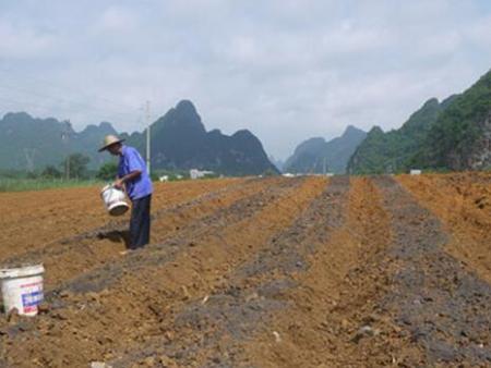 大(dà)新縣大(dà)華化(huà)肥廠(chǎng)甘蔗底肥用(yòng)有(yǒu)機(jī)肥料 大(dà)新縣大(dà)華化(huà)肥廠(chǎng)甘蔗底肥用(yòng)有(yǒu)機(jī)肥料